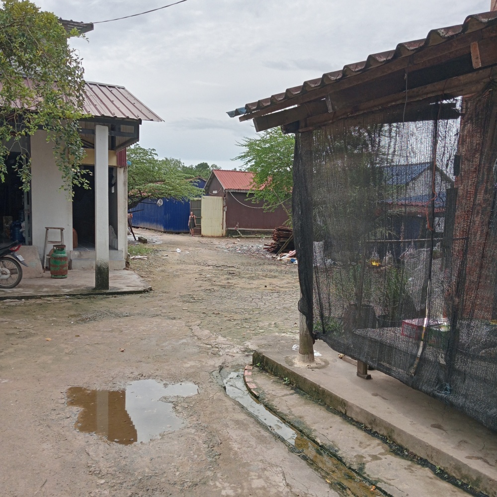 Weg zum Bootsanleger